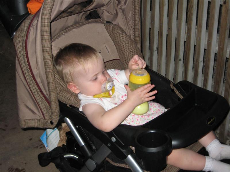 SW (22).JPG - Yup, having a blast in my STROLLER!  Hello!?  Wouldn't mind getting out and having fun too people!...